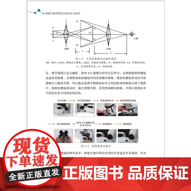 [店]肿瘤生物学研究实用方法与技术 医学高清大图