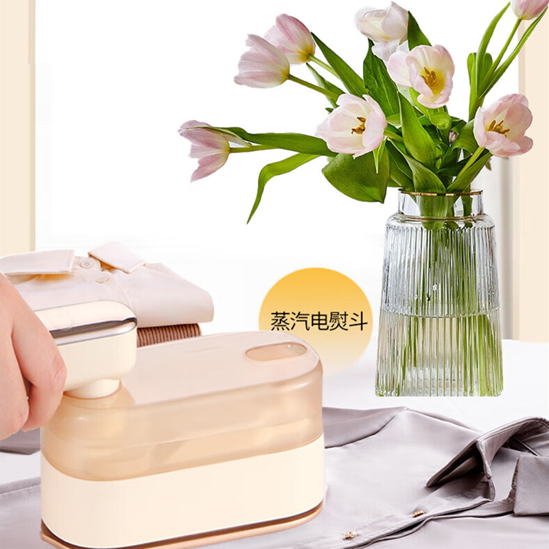 荣事达(Royalstar)Z 挂烫机小型便携式旅行手持熨烫机家用宿舍蒸汽电熨斗 RS-YD1007