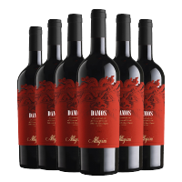 意大利原瓶进口 爱乐尼大魔干红葡萄酒2016年 750ml*6瓶 整箱装
