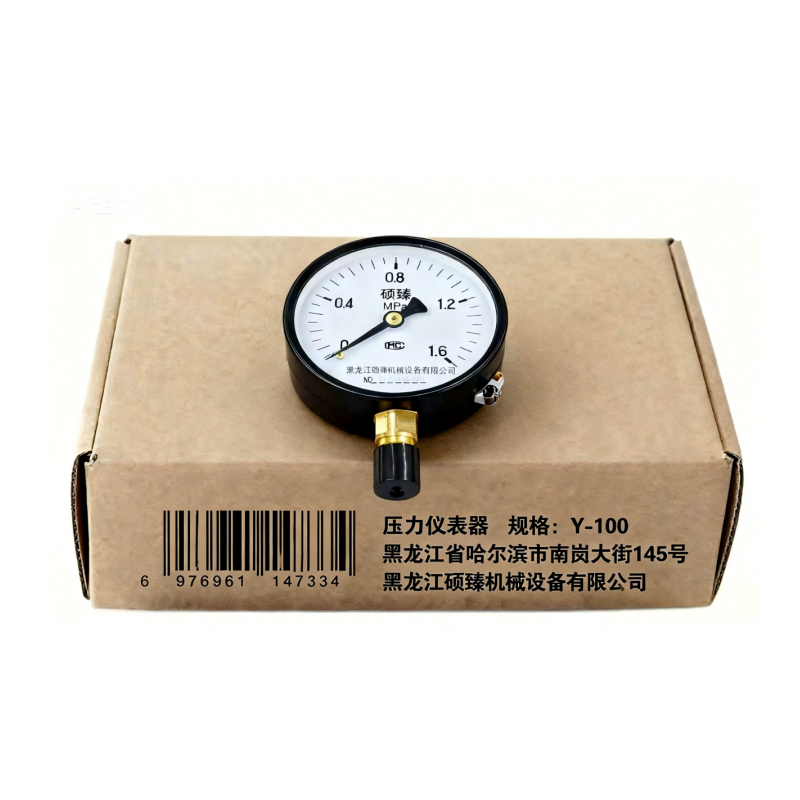 硕臻 压力仪表器 Y-100 块