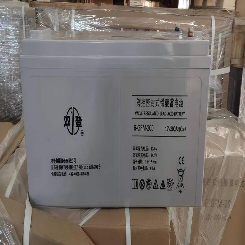 双登蓄电池6-GFM-200 12V200Ah高清大图