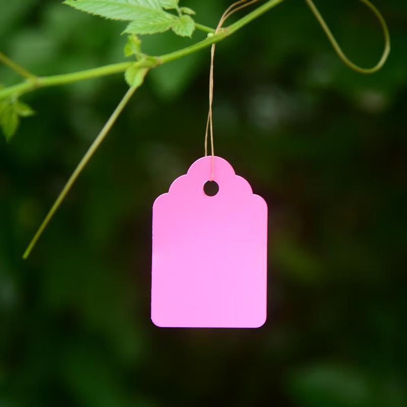 一痕沙pvc防水园艺标签花卉吊牌塑料标签吊签彩色苗木植物标签多肉