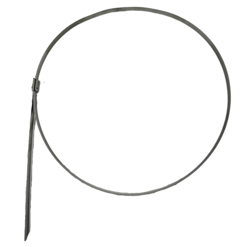 旋达自锁式不锈钢扎带 19*3000/条高清大图