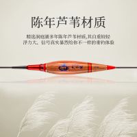 严子陵芦苇夜光漂电子漂水无影超亮醒目高灵敏鲫鱼漂黑坑鲤鱼浮漂 新款F001主攻鲫鱼综合 吃铅1.5 不变色水无影尾配1粒