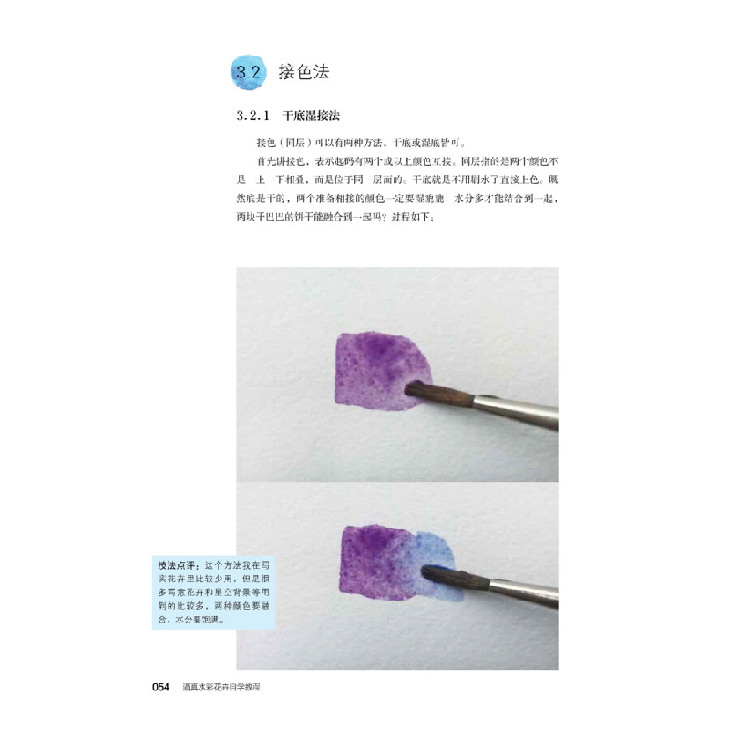 正版新书]逼真水彩花卉自学教程(写实绘画实用技法精准传授 赠高清大图