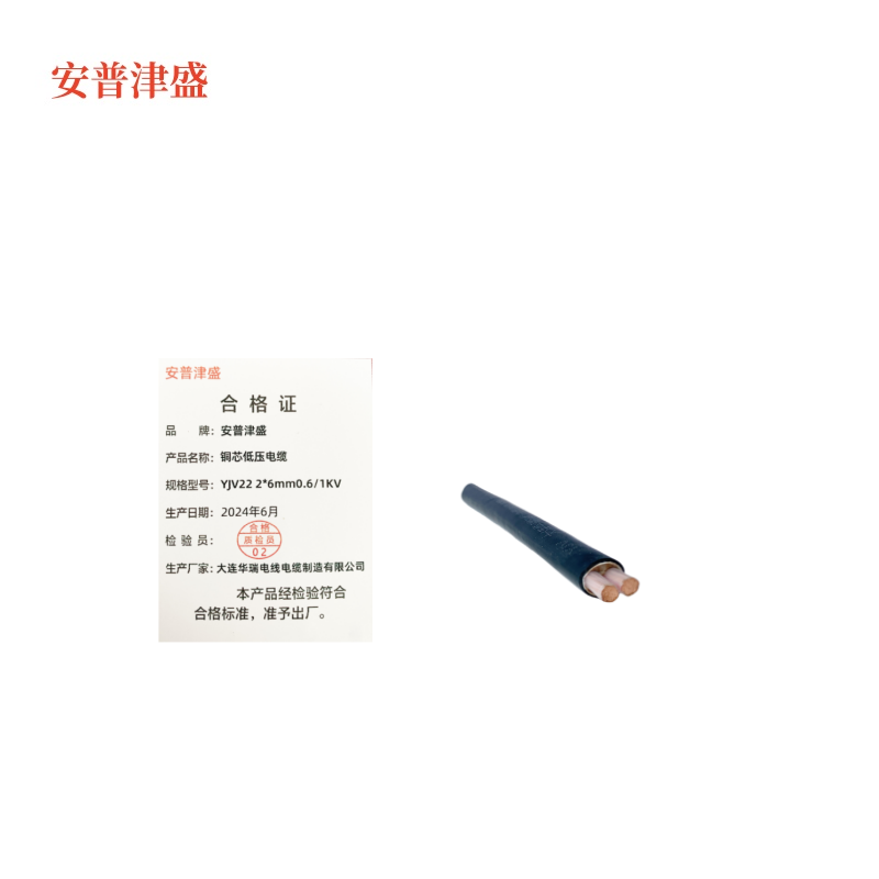 安普津盛 铜芯低压电缆YJV22 2*6mm 0.6/1KV高清大图