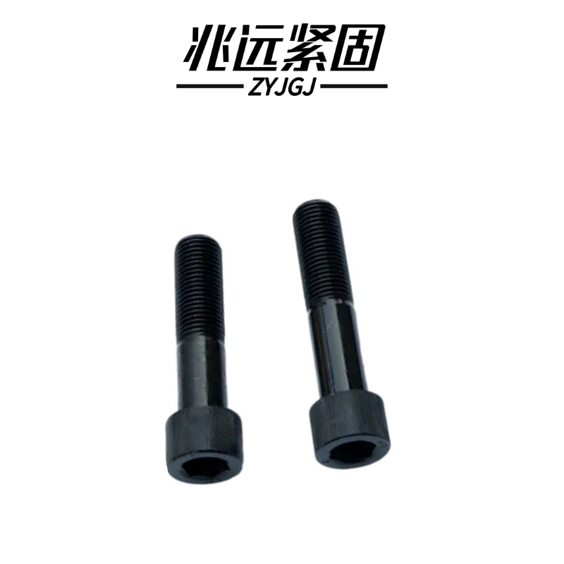 兆远紧固 内六角螺钉(个)(5*30)