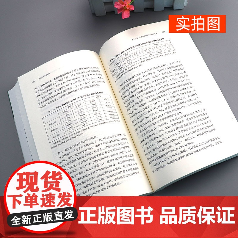 当代中国社会分层 生活书店出版李强教授 中国当代社会学经典中产 中国社会结构的俗易懂书籍中国社会各阶层分析社会各阶级的分高清大图