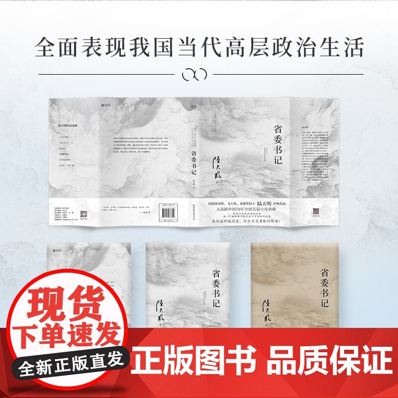 午阅正版 云仓 省委书记(国家图书奖、飞天奖、金鹰奖得主陆天明经典作品,电视剧《省委书记》原著小说)高清大图