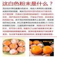 (挂树上的‘芬达’)五个农民广西武鸣茂谷柑9斤精选A级70-80mm+特大果礼盒装新鲜水果自营生鲜柑橘应季整箱