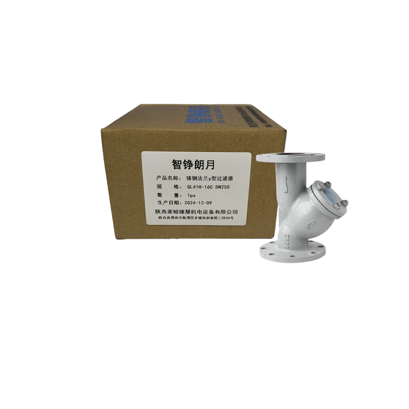 智铮朗月 铸钢法兰Y型过滤器 GL41H-16C DN250 个高清大图