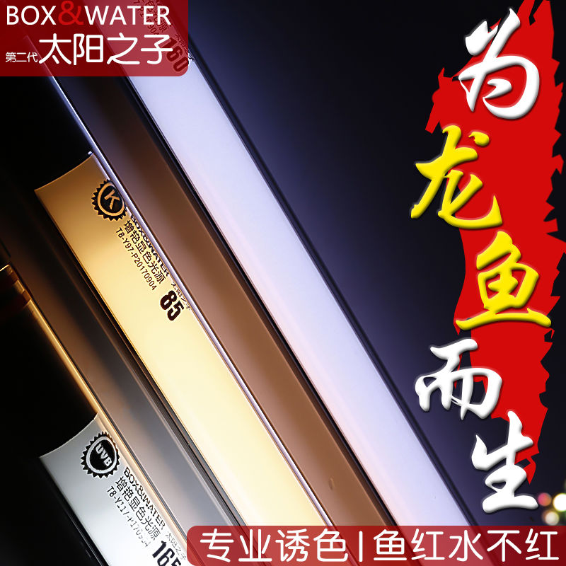 博特太阳之子龙鱼灯红龙金龙专用NEC鱼缸照明潜水led灯管防水增色高清大图