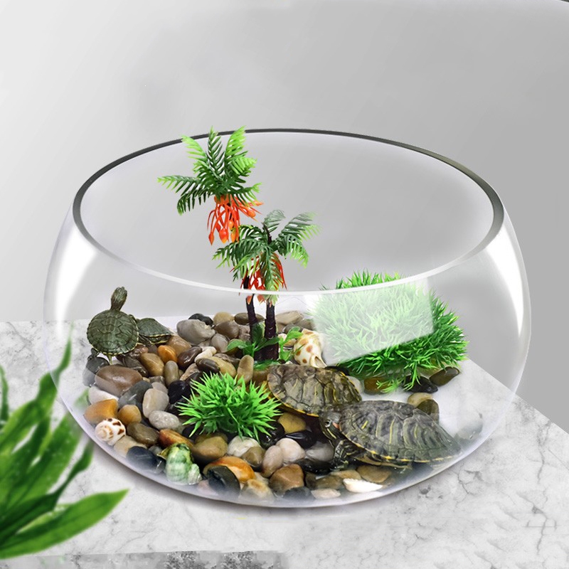乌龟缸玻璃圆形养殖缸箱法耐办公桌家用小鱼创意小型迷你桌面龟缸造景