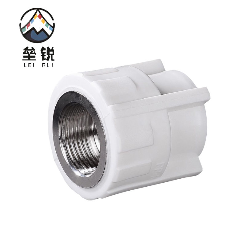 垒锐 PPR内牙直接 4分 个高清大图