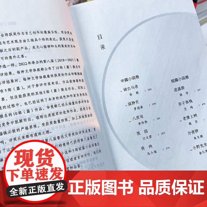 寂静与逍遥 第八届鲁迅文学奖中短篇提名小说集 在一个变化的世界中自在地活着 发挥文学照见人心的力量 9787559665高清大图