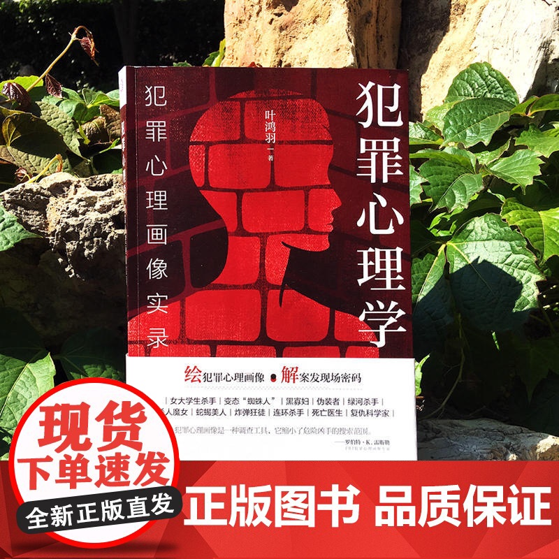 [全新正版]犯罪心理学 犯罪心理画像实录 绘犯罪心理画像 解案发现场密码 比雷米小说更惊悚比高铭的分析更透彻高清大图