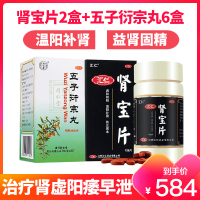 汇仁肾宝片126片*2盒+五子衍宗丸6盒 男女补肾阳痿遗精早泄温阳补肾调和男科用药健脾益肾