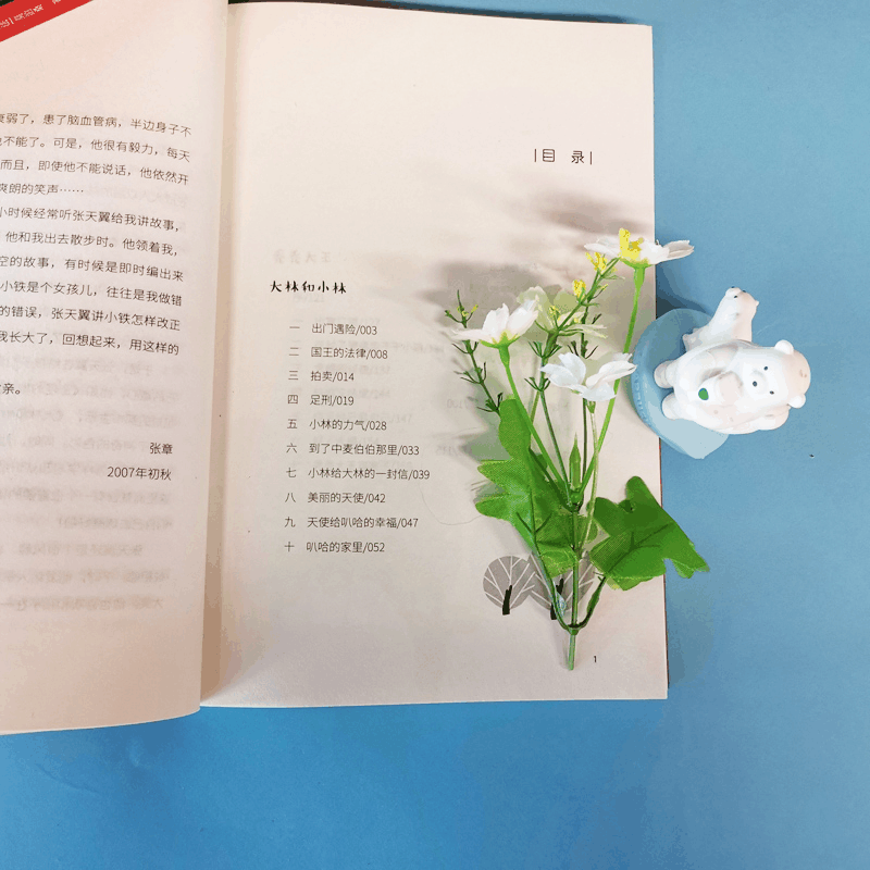 醉染图书大林和小林/中小学生阅读文库(全新修订版)9787559630933图片