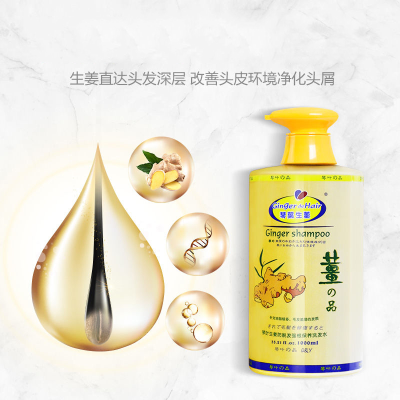 琴叶生姜祛屑洗发露洗发水