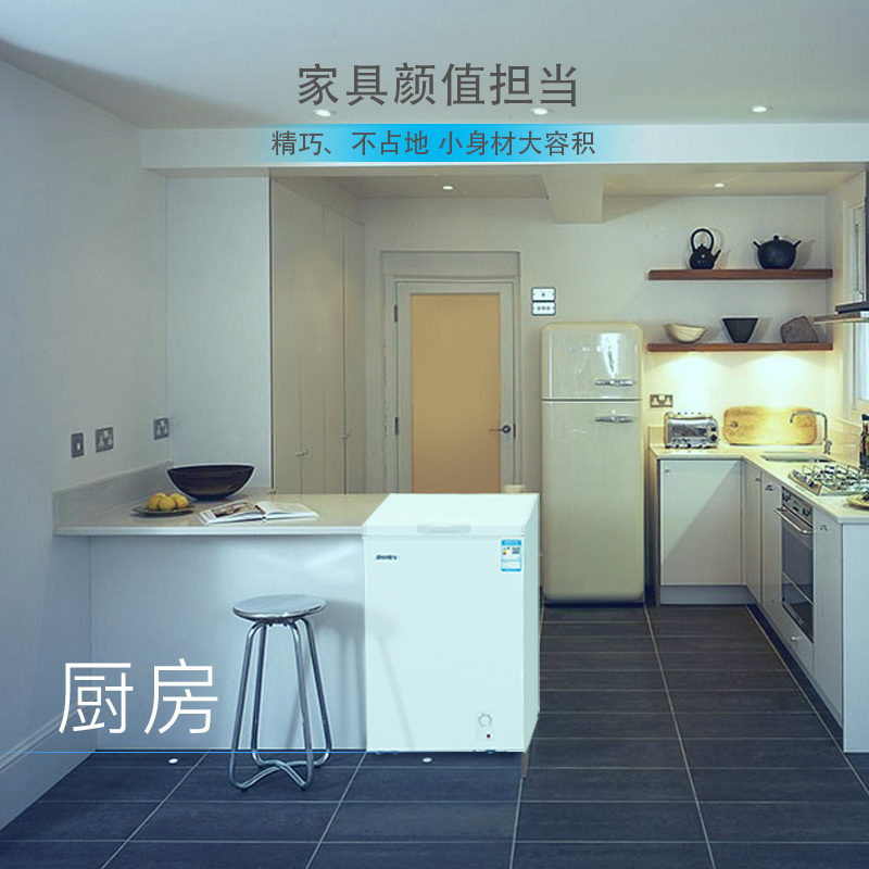 白雪(Baixue)BD/C-100DS100升家用 顶开门 卧式冰柜 冷冻冷藏可转换小型家用冷柜小冰柜