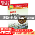 黄鳝生态养殖技术