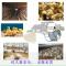 任能家禽养殖消毒片鸡鸭鹅去氨气异味养殖场消毒液二氧化氯泡腾片
