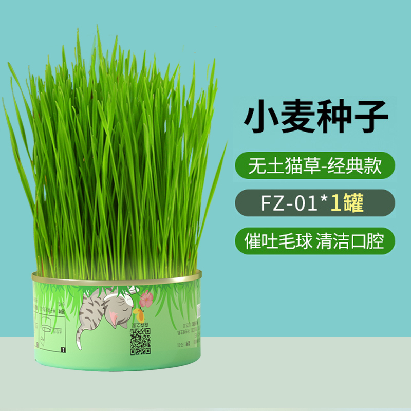 卷尾巴 森森植美无土猫草猫草种子懒人猫草片猫咪零食猫草罐头猫零食水培种植猫咪用品苏宁宜品