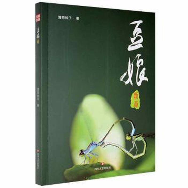 正版新书】豆娘新章清荷铃子9787541130335