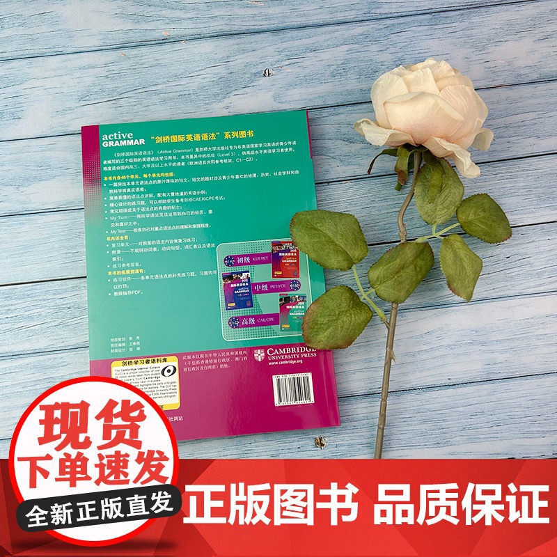 正版 桥国际英语语法 高级 剑桥语法级考试CAE CPE考试备考 英语语法学习用书 北京语言大学出版社 9787561高清大图