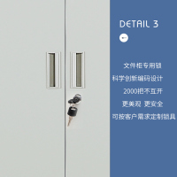 选兴 文件柜 钢制文件柜