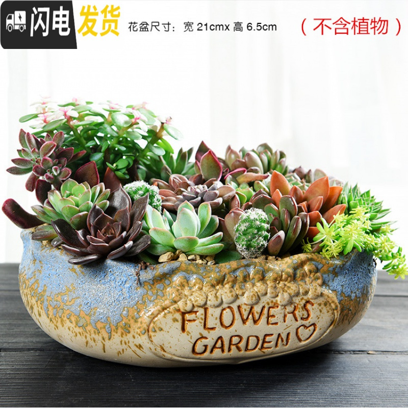 三维工匠大口径拼盘多肉花盆大号创意个性陶瓷简约粗陶多肉植物小花盆 拼盘-万花盆(带孔) 大花盆容器