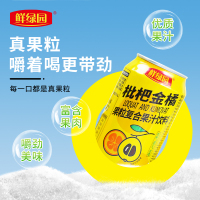 鲜绿园枇杷金橘果粒复合果汁饮料整箱装工厂直发批发价