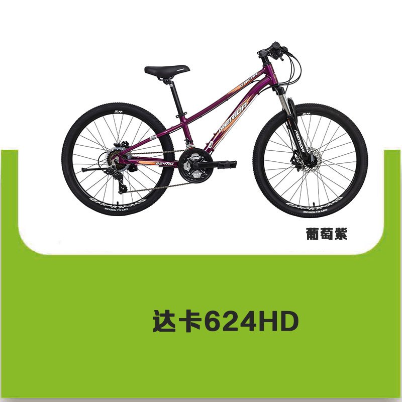 MERIDA美利达 达卡624HD 24寸 青少年车 儿童自行车 童车21S变速