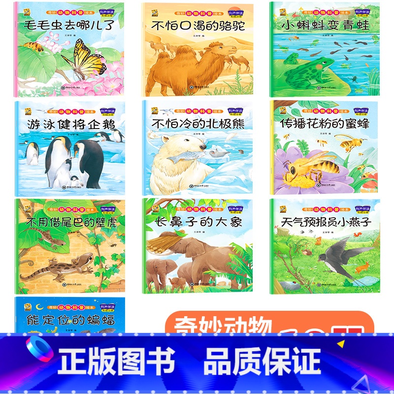 [10本240页]科普二 [正版]绘本3一4一6岁幼儿园阅读小中大班儿童故事书幼儿绘本0到3岁新一年级必读书籍1-2-6高清大图