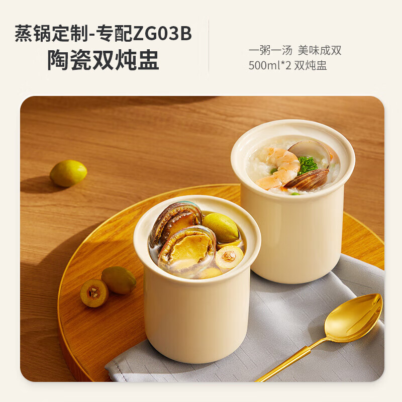 蓝宝(BLAUPUNKT) 蒸炖锅家用电蒸锅多功能家用隔水炖盅全自动预约蒸汽锅f