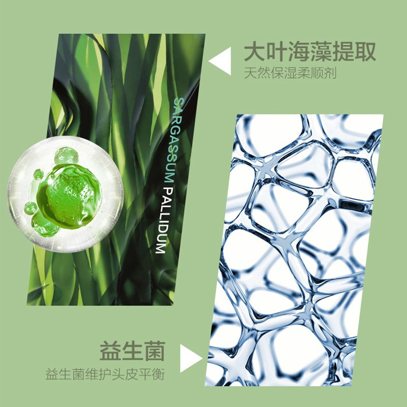 柏缇(POTE) 海藻去屑舒缓洗发露 舒缓留香氨基酸男女通用洗发露 505ml(单位:瓶)高清大图