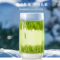2021年新茶上市 宜宾雀舌绿茶100g 特级浓香明前高山嫩芽芽头茶叶