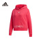 阿迪达斯adidas neo 2020新款女子休闲舒适运动卫衣GQ1221
