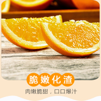 【中华特色】贵州馆 罗甸青秋脐橙5斤装纽荷尔脐橙（单果200g~250g）优级大果地标新鲜水果橙子柑橘非赣南脐橙箱装