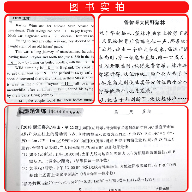 [英语]阅读理解 九年级/初中三年级 [正版]周计划初中语文数学英语七年级八年级九年级上册下册专项训练初一基础知识计算题