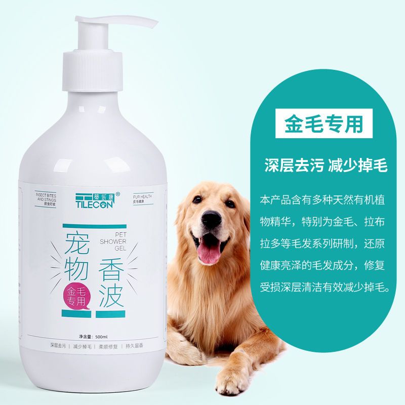 狗狗沐浴露杀菌除臭杀螨泰迪萨摩耶金毛猫咪宠物用品洗澡香波|金毛专用-500ml 1瓶装