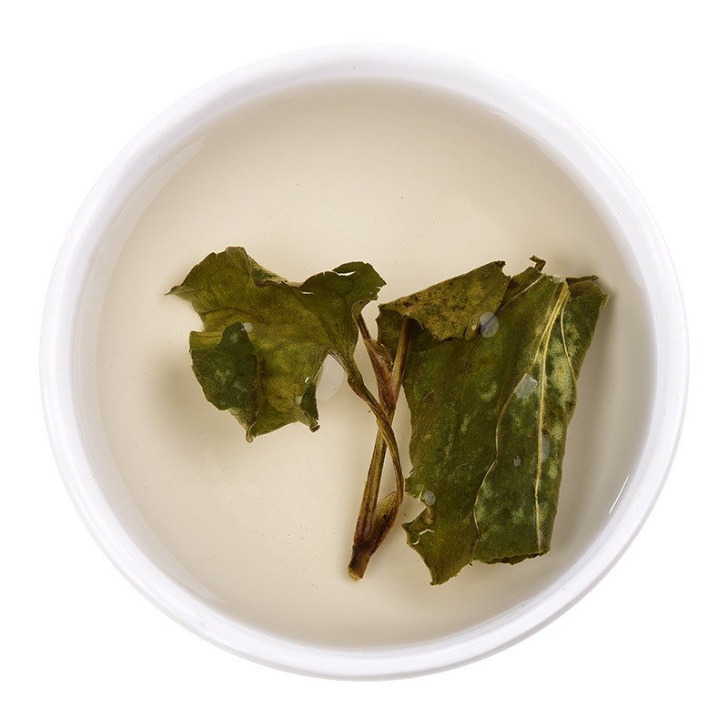 润弘永堂 鱼腥草25克/罐 鱼腥草干 凉茶 折耳根可泡茶煮水养生茶