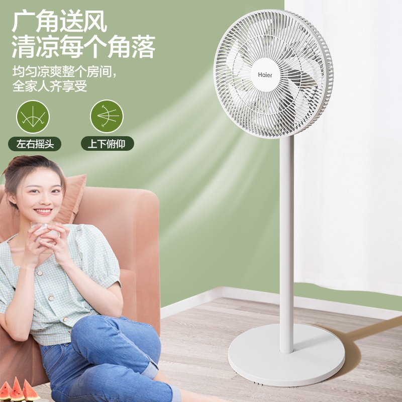 海尔(Haier)电风扇家用落地扇轻音风扇大风量摇头定时电扇远距客厅学生宿舍立式风扇工业扇 机械款HFS-J3556A高清大图