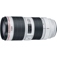 佳能(Canon) EOS 6D MARK II 专业级全画幅单反相机套机 (单机身+70-200mm F2.8L三代)