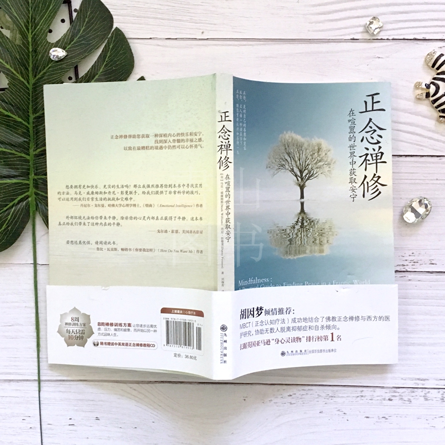 [醉染正版]正念禅修:在喧嚣的世界中获取安宁 阐述了悟入源头的方法和步骤悟道指南有能力辨识所有类型的灵性和宗教哲学书籍重高清大图