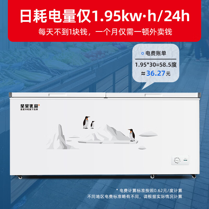 星星优品700升商用冰柜冷藏冷冻转换柜 保鲜强劲冷冻超市便利店大容量节能省电 可达零下负26度 BD/BC-700C/U高清大图