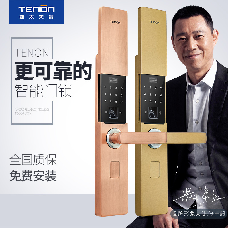 亚太天能(TENON)智能指纹锁 锌合金家用指纹密码锁电子门锁 T21e 香槟金
