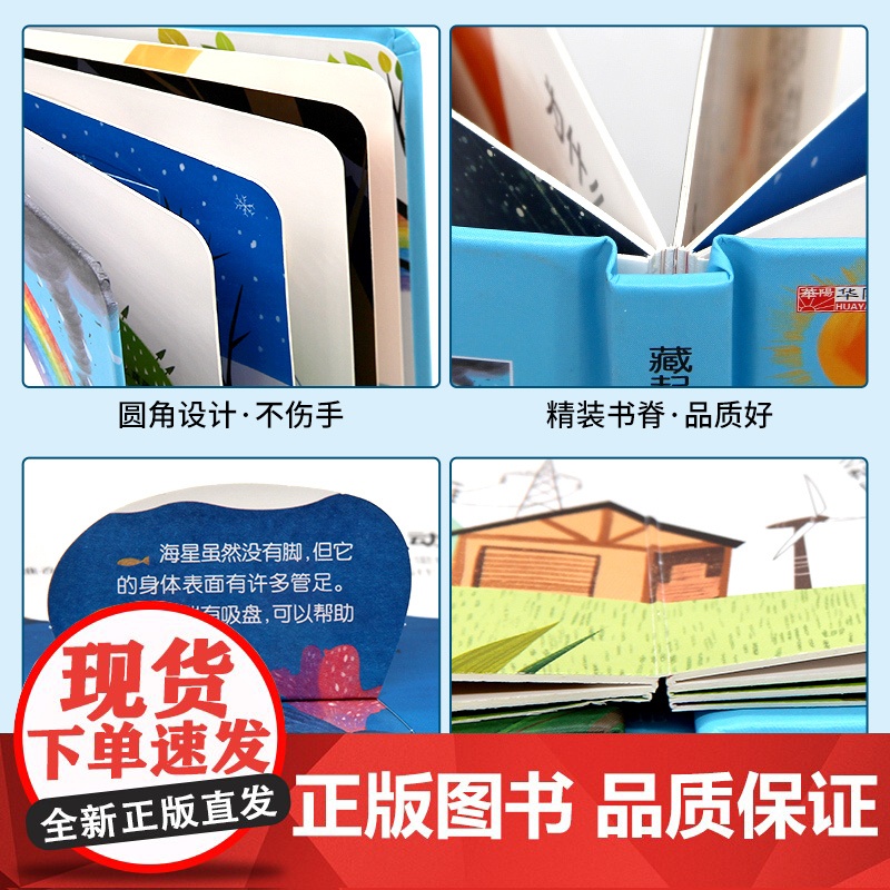 藏起来的小秘密立体绘本故事书3到6岁儿童早教启蒙书幼儿园阅读0-4岁5岁以上专用大班三岁3d翻翻书婴幼儿必读认知高清大图