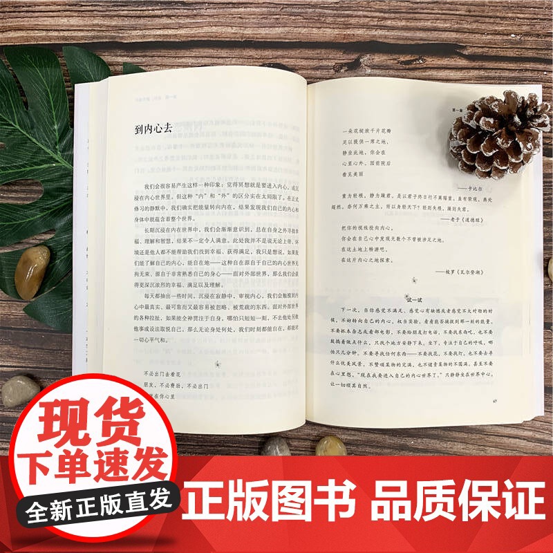 套装 正念 此刻是一枝花+觉醒 在日常生活中练习正念 套装全2册 乔恩 卡巴金 正念减压 阐明正念冥想精髓人生哲学心理学高清大图