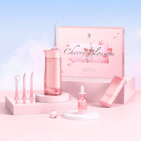 冲牙器套装 TA0096 樱花香氛家用便捷抽拉式洗牙器(单位:套)